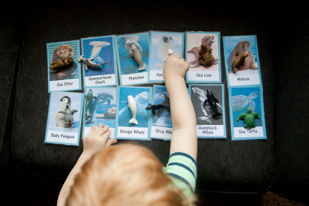 Yabanci Dil Ogretiminde Cocuklar Icin Ingilizce Kartlar Minidil Eskisehir